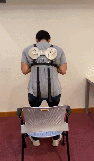 Sit-to-Stand Device